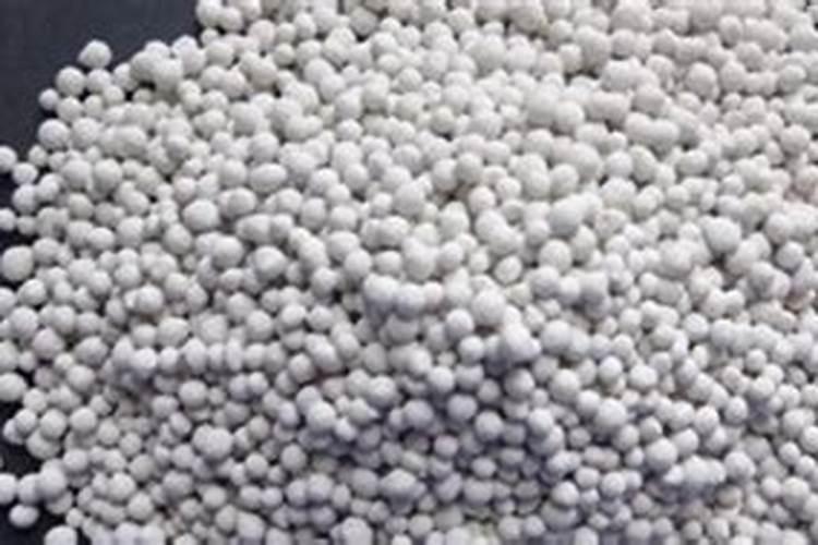 哪种肥料利于长根生叶