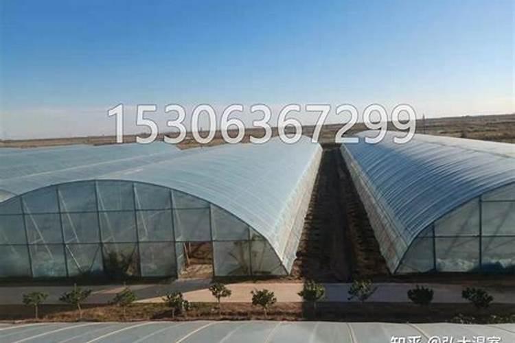 冷棚西瓜是一种高效经济作物,种植冷棚西瓜用什么底肥好？