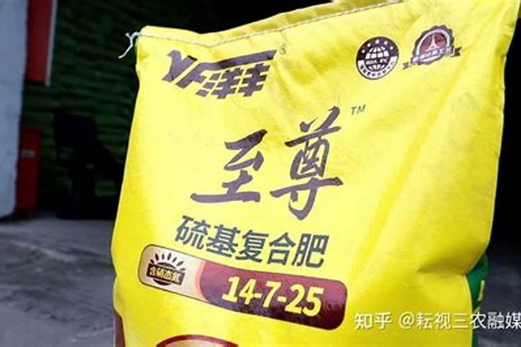 大葱高产怎么平衡施肥 大葱什么时候种最好