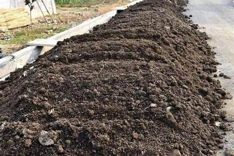 种植水稻高产,什么时候开始追肥？怎么用肥合适