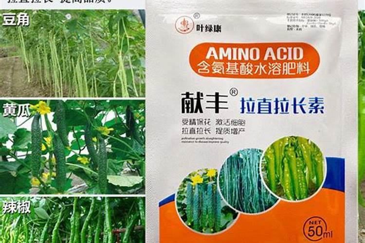 种豆角用什么肥料最好 种豆角用磷酸二氢钾肥可以吗