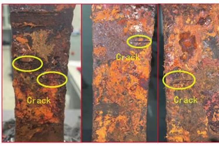 油茶树施什么肥长得快