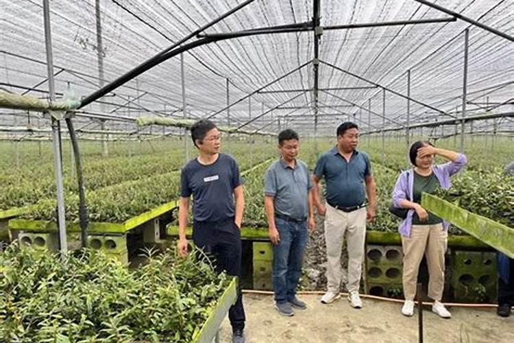 云南生活污水处理设备售后服务