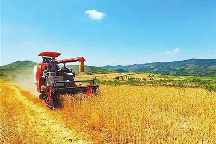 小麦叶面肥喷施时间