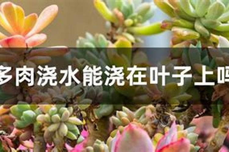 桃多膨大期要施肥快速膨大有哪些肥料？