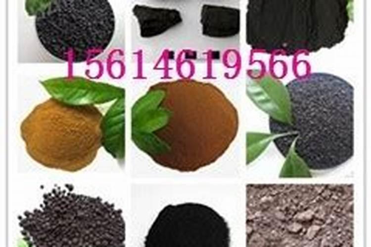 发财树怎么种植方法