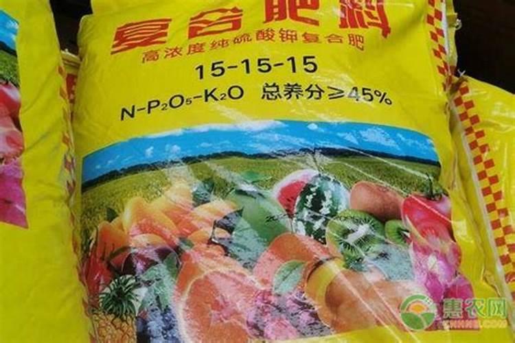 种菜最实用的肥料,是先下肥料还是先下种子