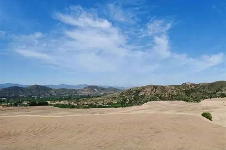 黑素草种植方法