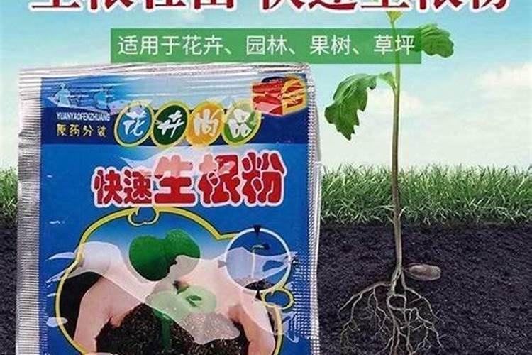 种菜最实用的肥料,是先下肥料还是先下种子