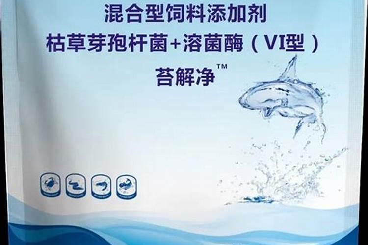 如何施用？钙肥有哪些种类？