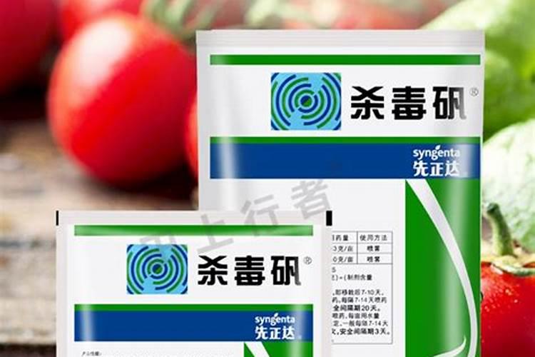 鱼塘怎样肥水,养鱼时要注意的事项