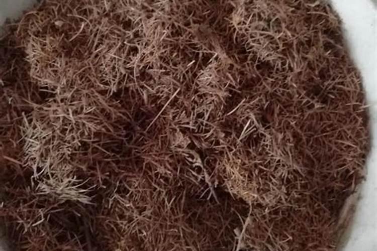 中药材牛膝追肥用什么肥料好？中药材牛膝壮根根茎块膨大？