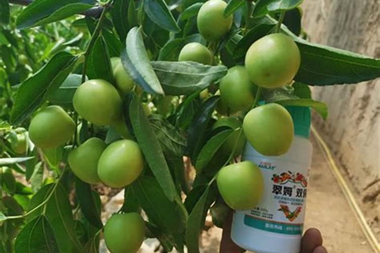 国内氨基酸水溶肥生产厂家有哪些？