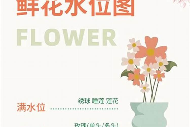 百合花怎么养护