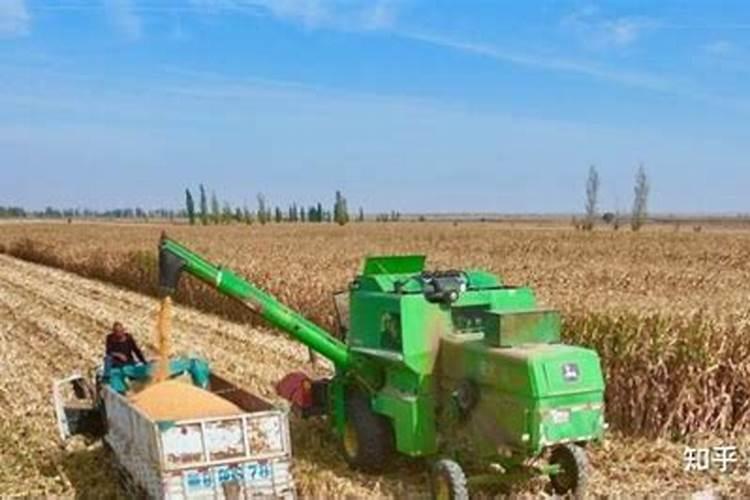 矿源黄腐酸、生化黄腐酸效果都一样？千万可别上当了!