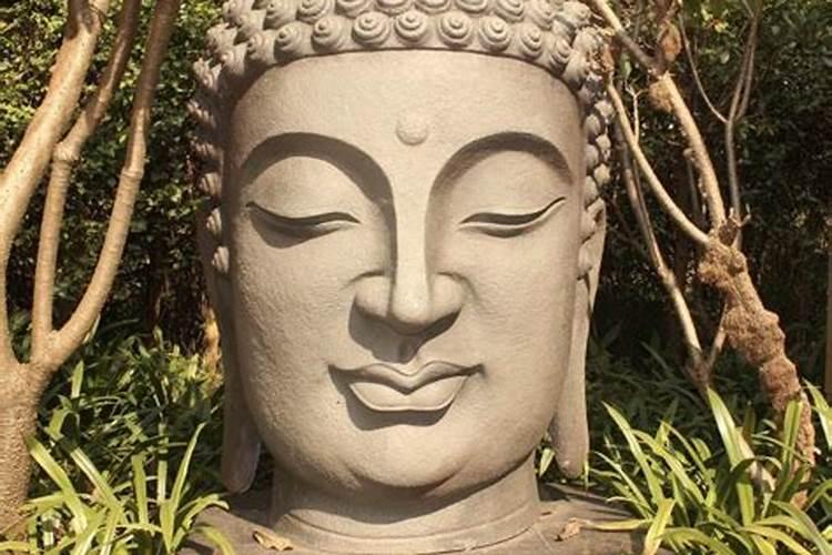 桃树能用硫酸钾复合肥吗？