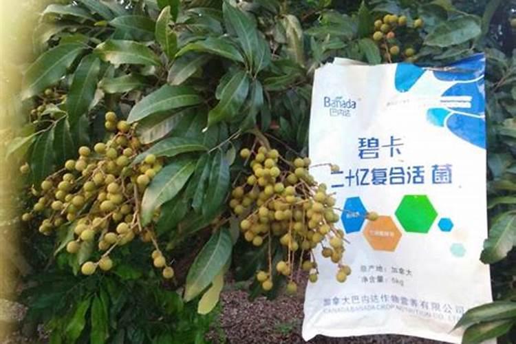 最好的有机肥是啥？有啥品牌有机肥吗？