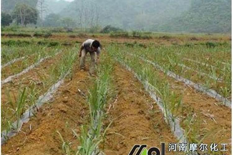 找广西贺州市八步区批发市场在哪里、怎么找啊？我都不知道在哪。