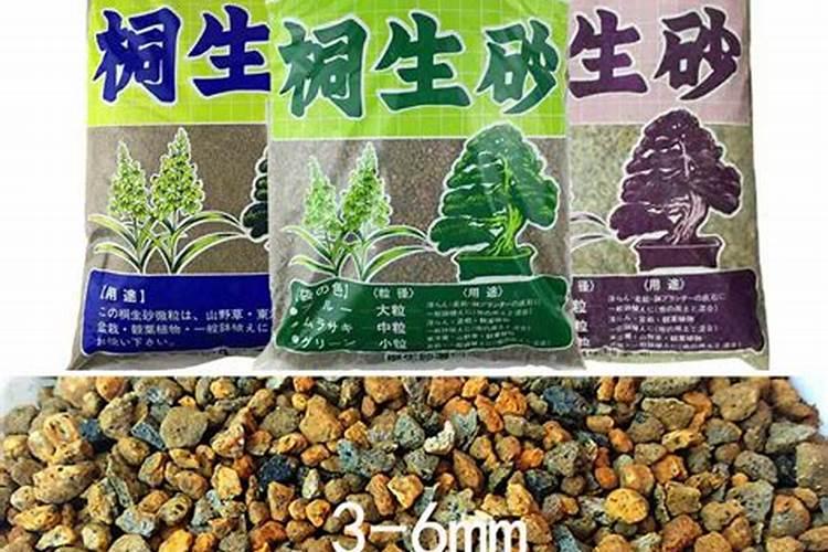 蛭石可以种多肉吗