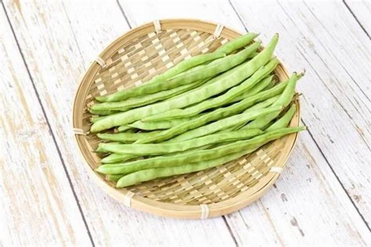 四季豆施肥的正确方法