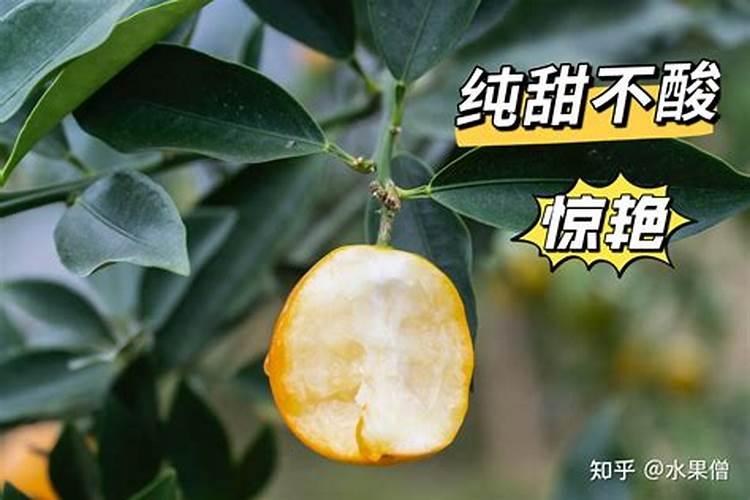 草木灰和铵态氮肥不能混用的原因