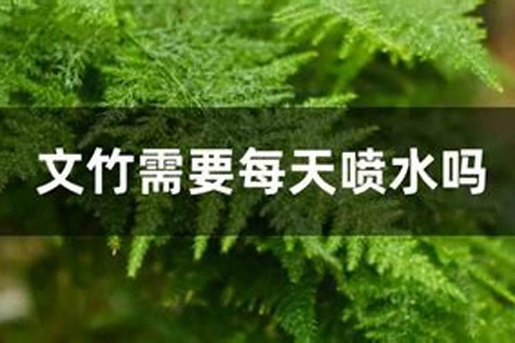 长期使用叶面肥对植株有哪些利弊？