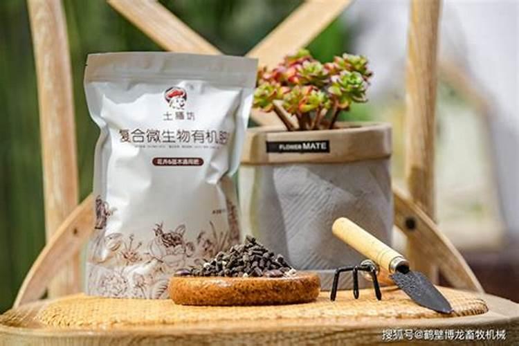 西梅哪些人不适合吃