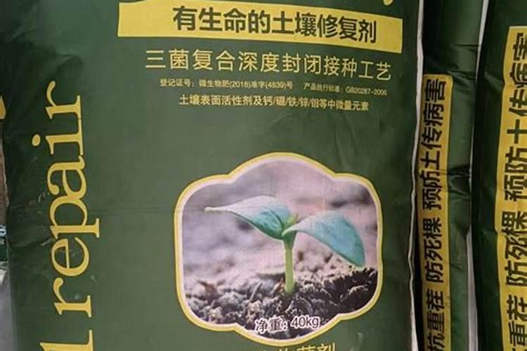 黄瓜移栽后几天浇缓苗水