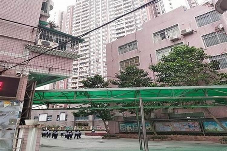 西红柿喷什么叶面肥最好