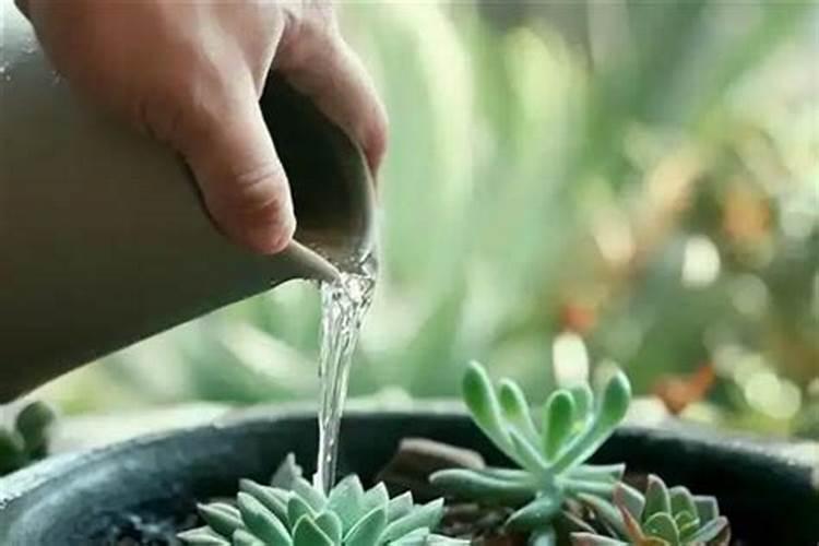 硫磷酸铵的施用方法