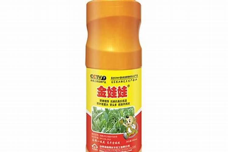 金娃娃萱草的管理和怎样除草