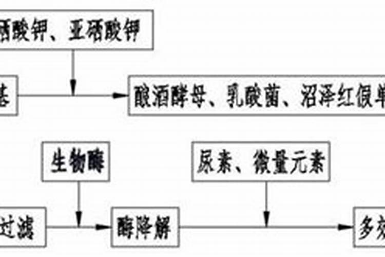 想要种出富硒蔬菜,用什么富硒肥效果好？