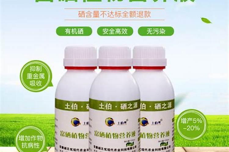 富硒叶面肥怎样喷水稻可以产富硒大米