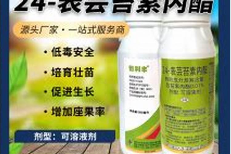 桃树可以喷芸台素吗？