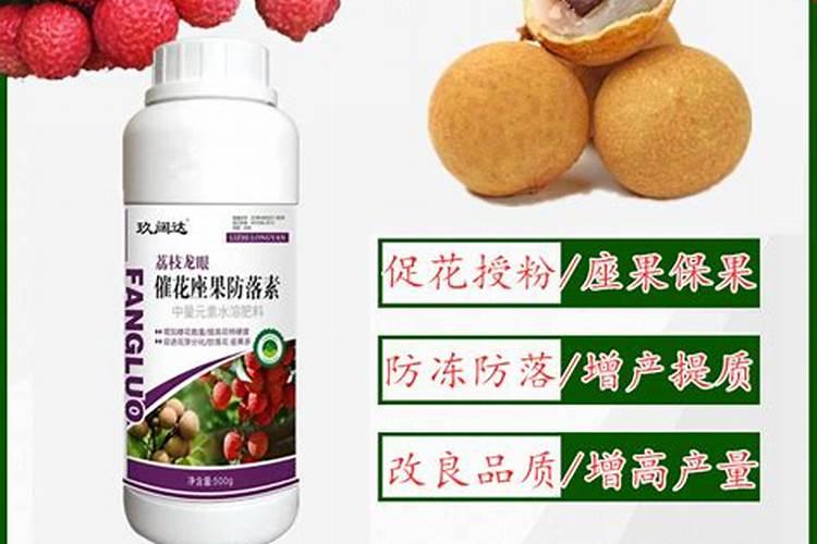 荔枝用什么果树水溶肥能增甜耐储