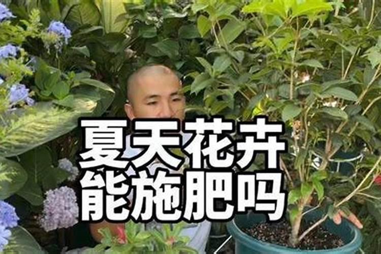 冲施是什么意思,冲施肥是什么,你想知道的都在这