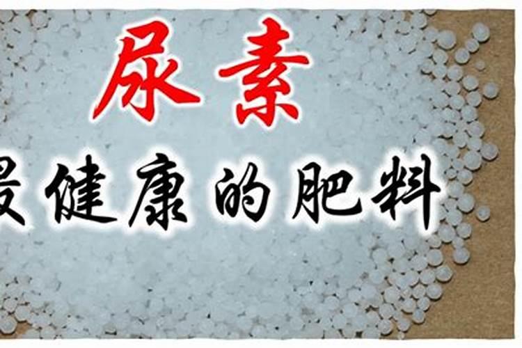 10斤钾肥5斤二铵8斤尿素pk高效复合肥那个更抗倒㐲