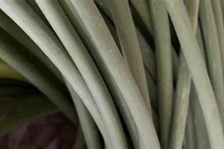 大蒜抽苔后还需要施肥吗