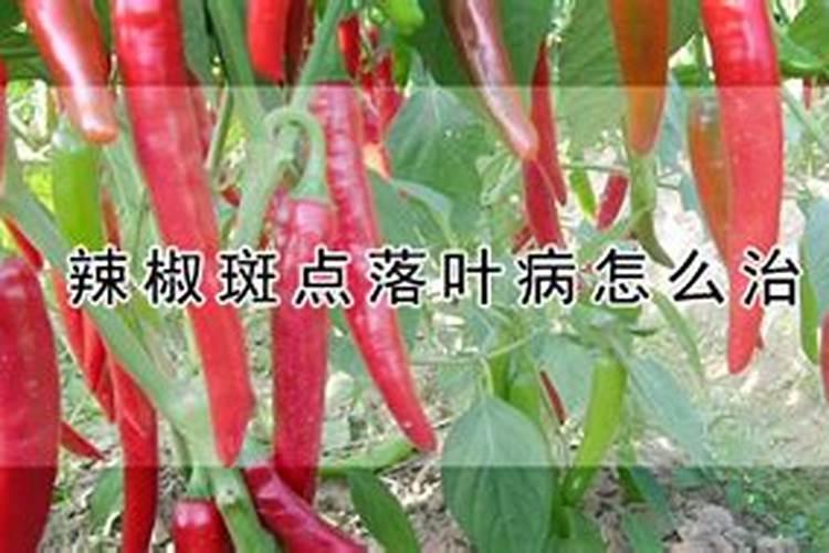 葡萄上色难,可以用黄腐酸钾配磷酸二氢钾追施吗？或者有更好的方法和肥...