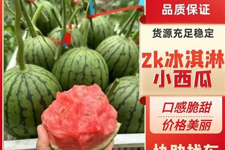 西瓜结果到成熟需要多少时间,西瓜结果了需要施什么肥