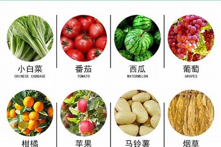 海藻肥和鱼蛋白肥哪个好 海藻肥的优缺点