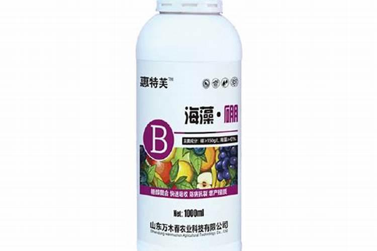 海藻精对植物的作用(肥料海藻精使农作物提早成熟提高产量)