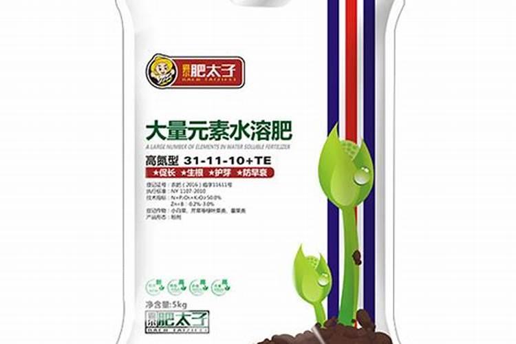 面对葡萄上的黑色裂纹应该怎样管理