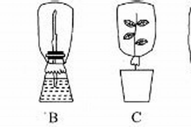 钙镁磷肥购买时注意的几点