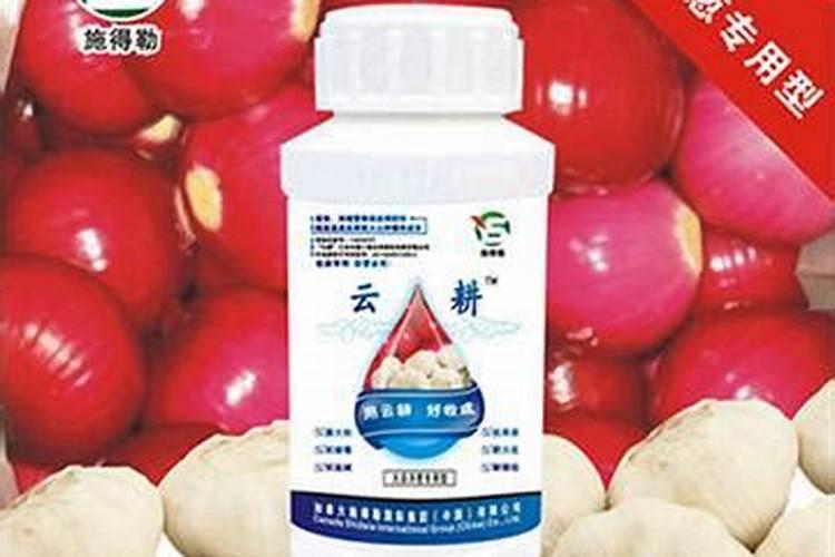 洋葱施什么肥生长最快