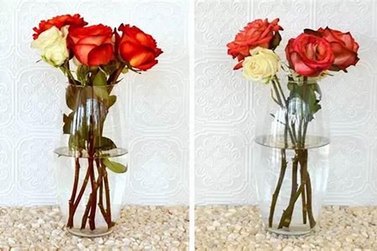 六种方法春节鲜花花期延长