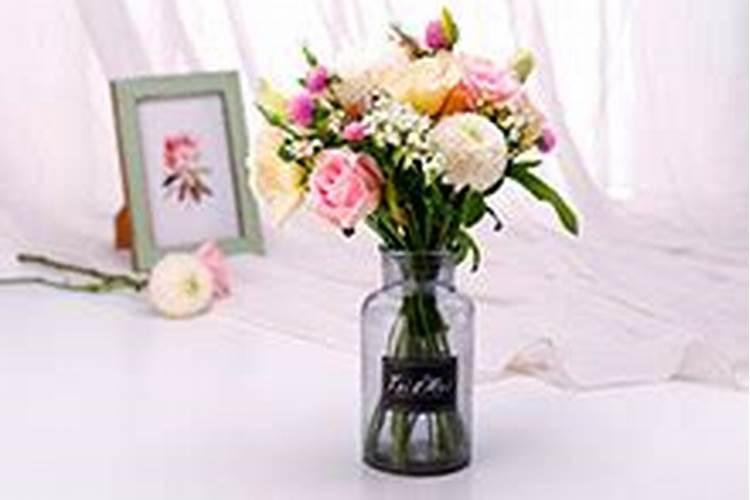 茉莉插花鲜花怎么养