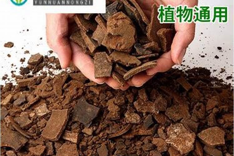 麻酱饼做肥料怎么用