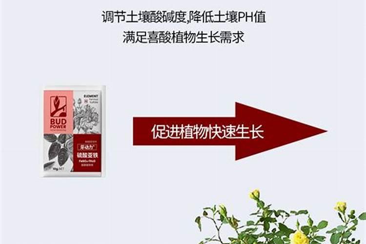 花生需要几种叶面肥啊