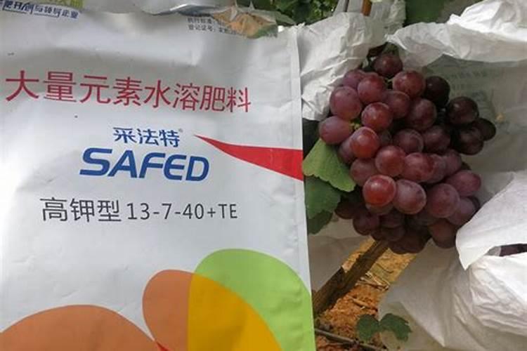 北京中商亿家资本投资管理有限公司怎么样？